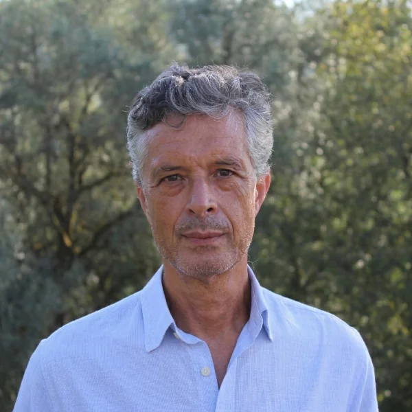 António Pedro Martins
